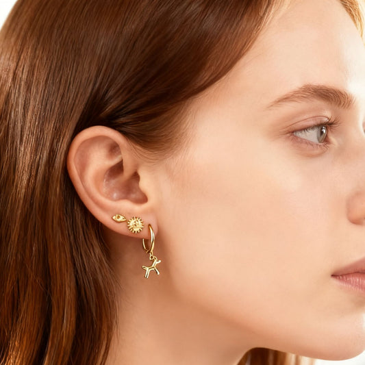 Orecchini Hoop Balloon Dog